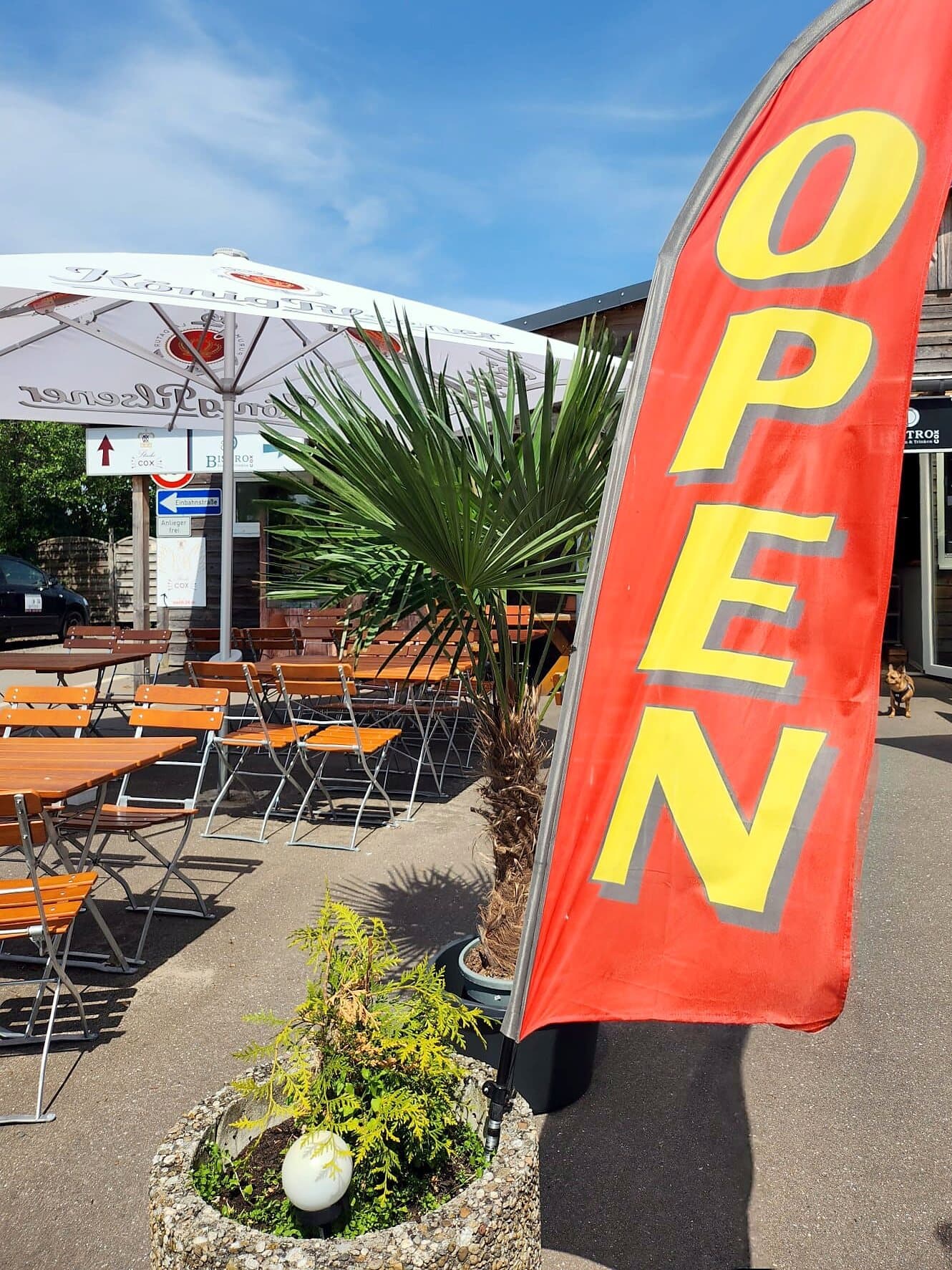 Biergarten in der Sonne: Holztische und Klappstühle unter Sonnenschirmen, Palme und rote Fahne «OPEN»